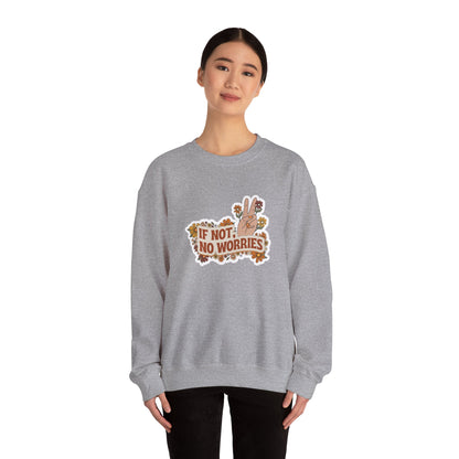 If Not, No Worries Sweatshirt