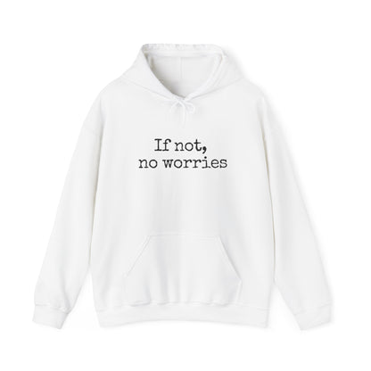 If Not, No Worries Hoodie