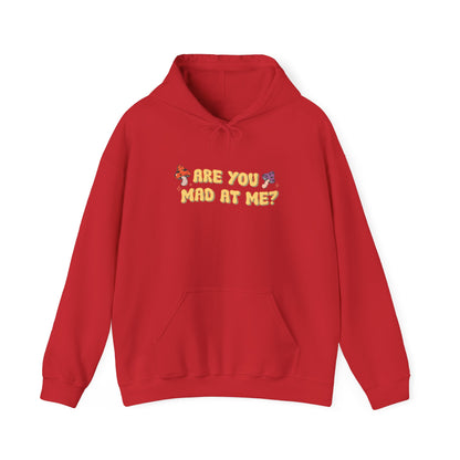 Are You Mad At Me? Hoodie