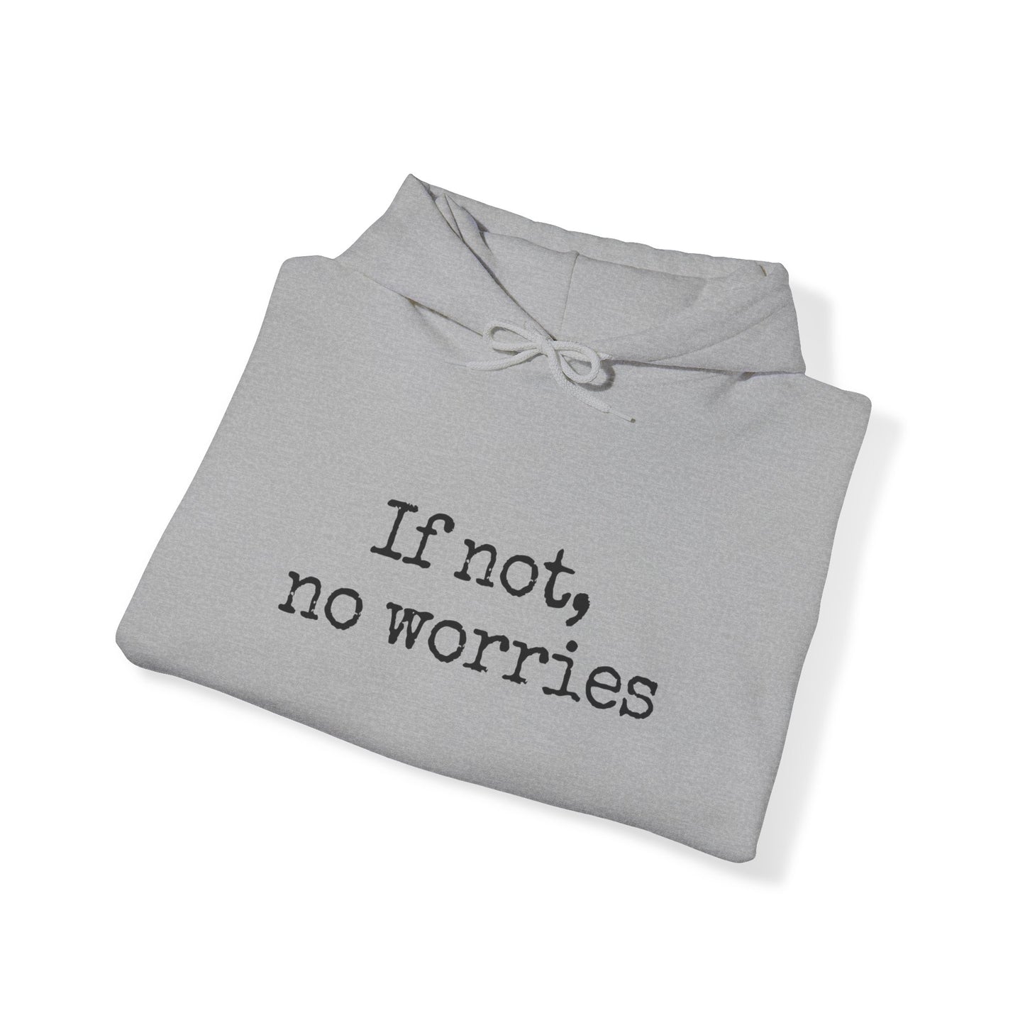 If Not, No Worries Hoodie