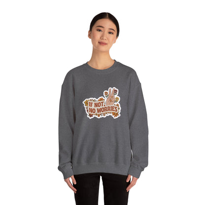 If Not, No Worries Sweatshirt