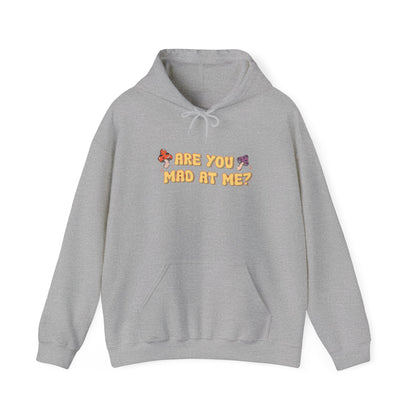 Are You Mad At Me? Hoodie