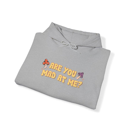 Are You Mad At Me? Hoodie