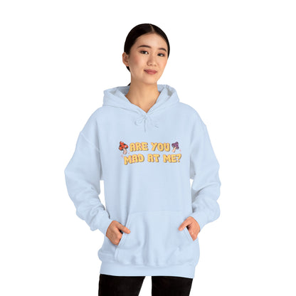 Are You Mad At Me? Hoodie