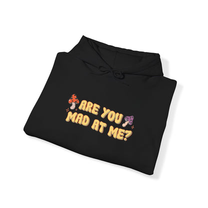 Are You Mad At Me? Hoodie