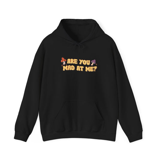 Are You Mad At Me? Hoodie
