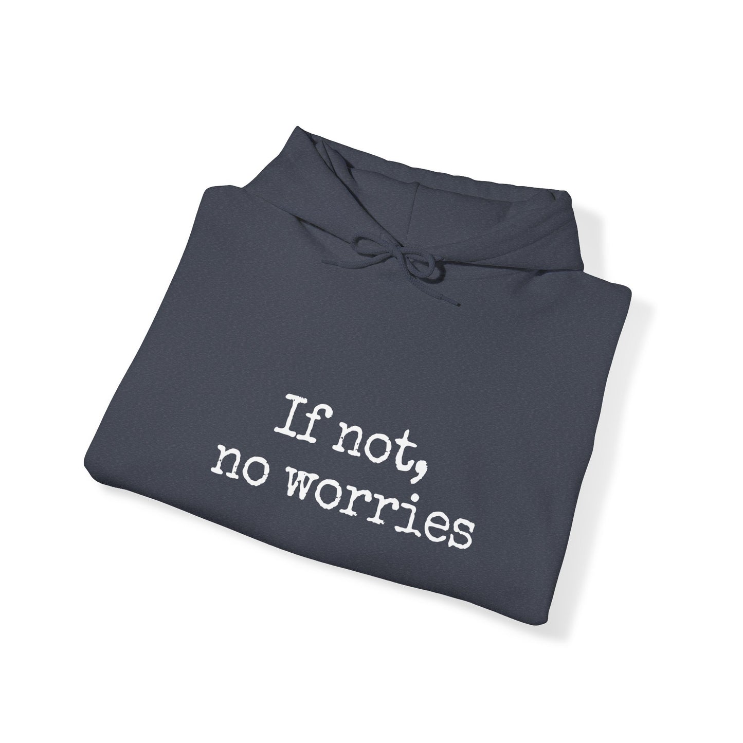 If Not, No Worries Hoodie