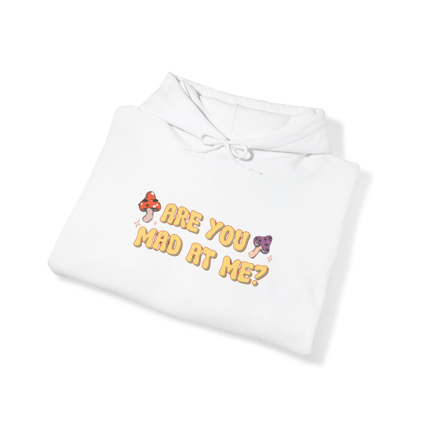 Are You Mad At Me? Hoodie