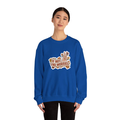 If Not, No Worries Sweatshirt