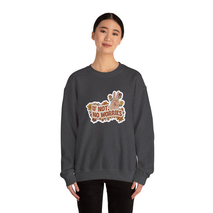 If Not, No Worries Sweatshirt