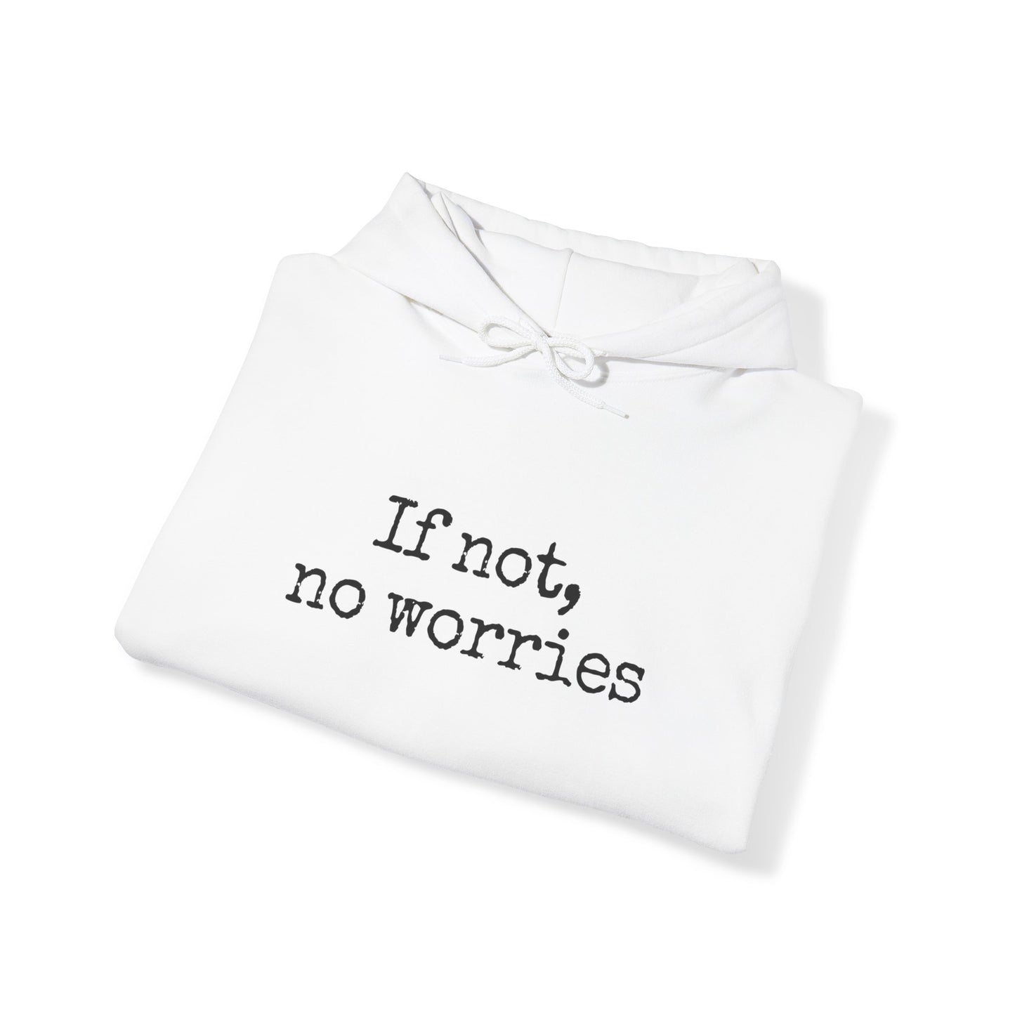 If Not, No Worries Hoodie