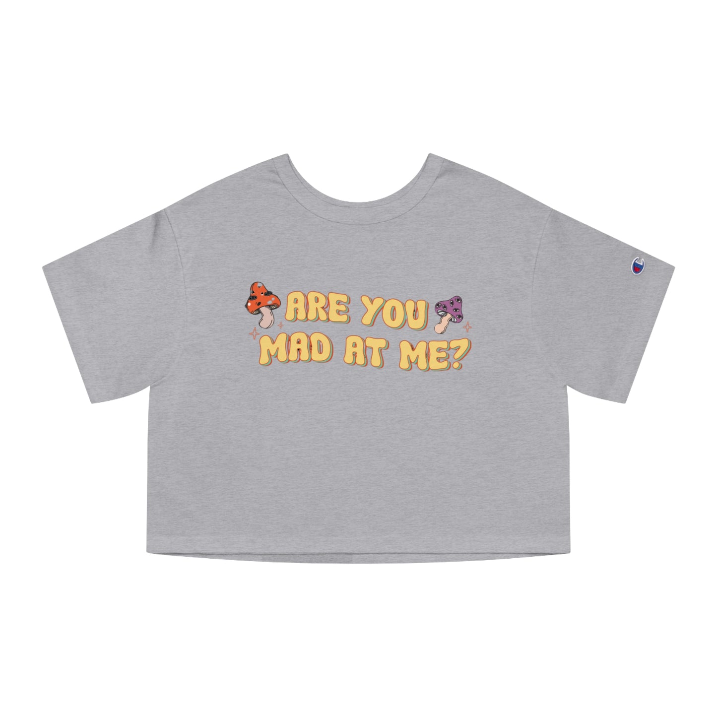 Are You Mad At Me? Cropped T-Shirt