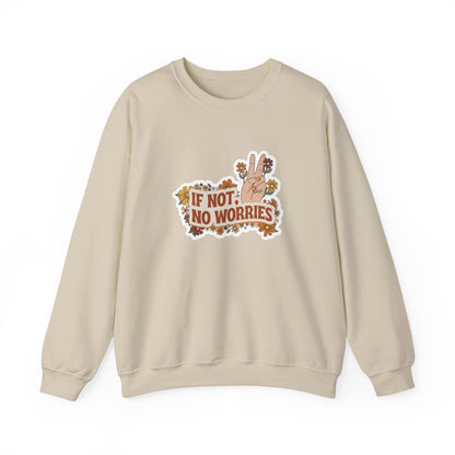 If Not, No Worries Sweatshirt