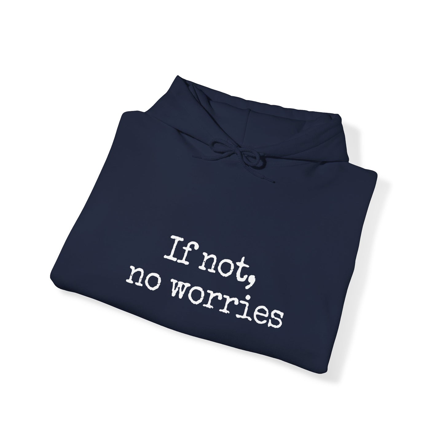 If Not, No Worries Hoodie