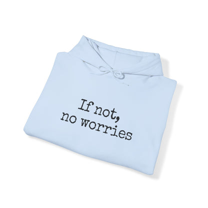 If Not, No Worries Hoodie