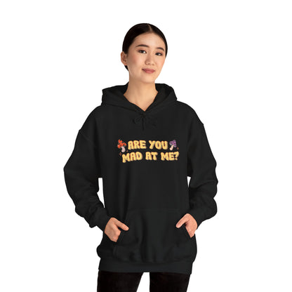 Are You Mad At Me? Hoodie