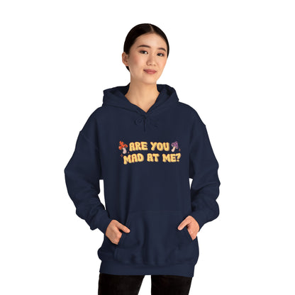 Are You Mad At Me? Hoodie