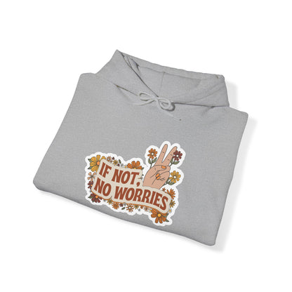 If Not, No Worries Hoodie