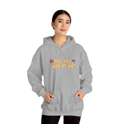 Are You Mad At Me? Hoodie