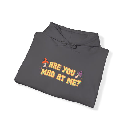 Are You Mad At Me? Hoodie