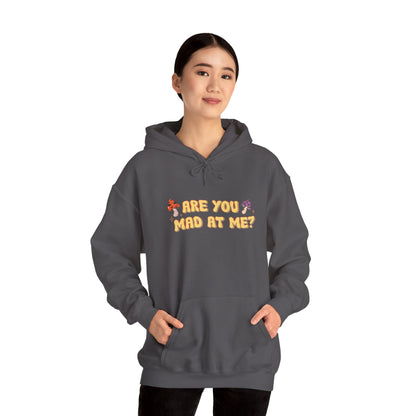 Are You Mad At Me? Hoodie