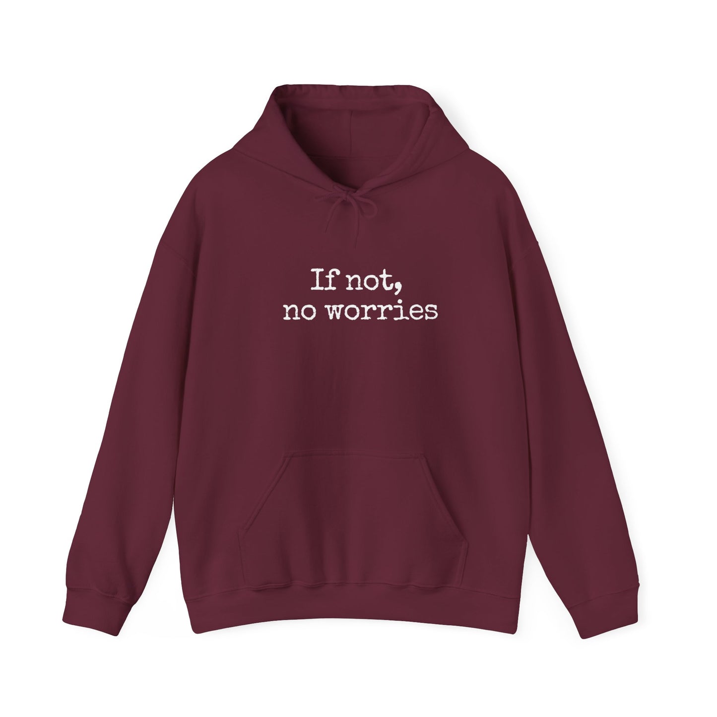 If Not, No Worries Hoodie