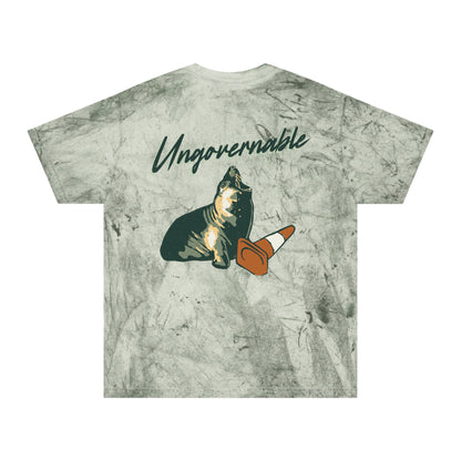 Which Neil are you? | Unisex T-Shirt